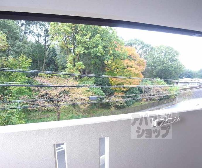 【グリーンハイツ正宗】間取