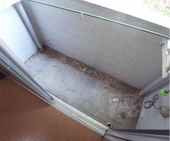 【久保ハイツ】間取