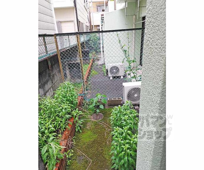 【シャルマンコーポ】間取
