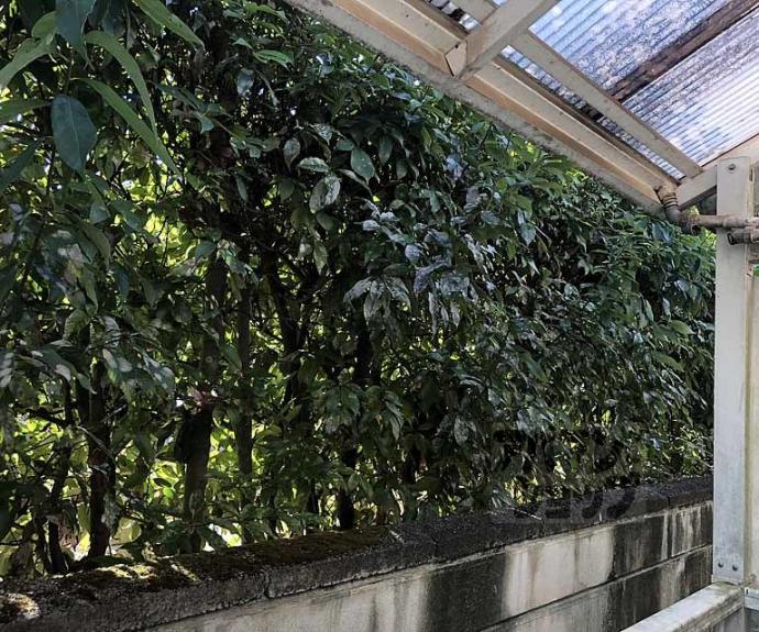 【ラメールⅡ】間取