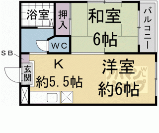 【アネール桂】