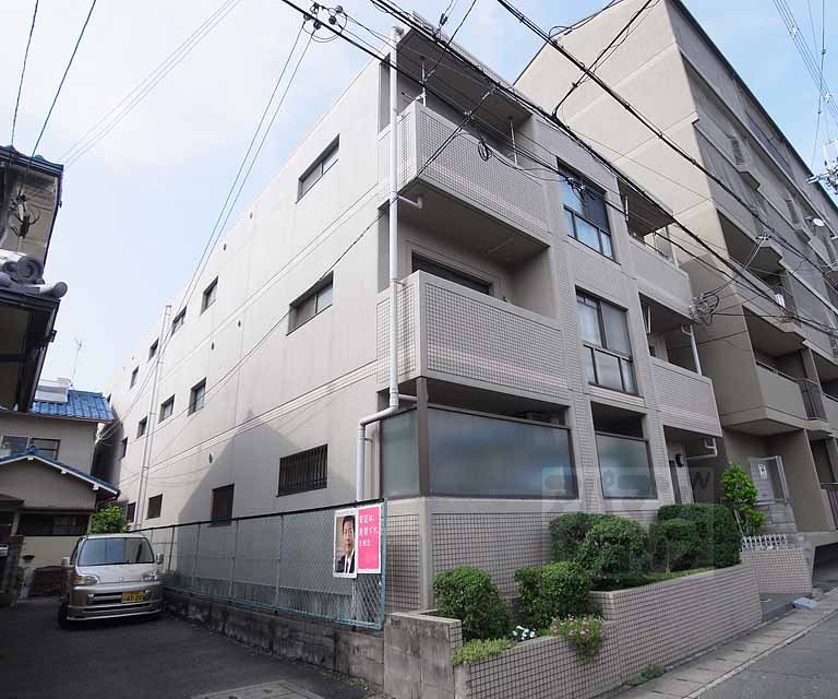 アネール桂