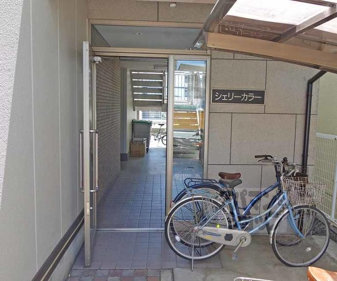 【シェリーカラー】間取