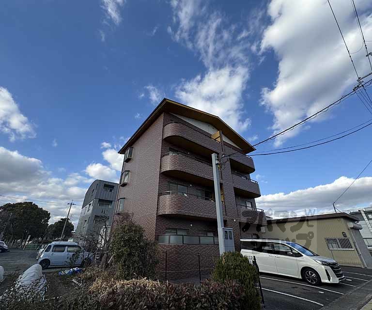 フォルセ桂