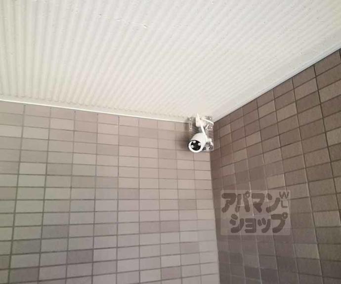 【Ｓｕｎ・Ｂｉｒｄ桂】間取