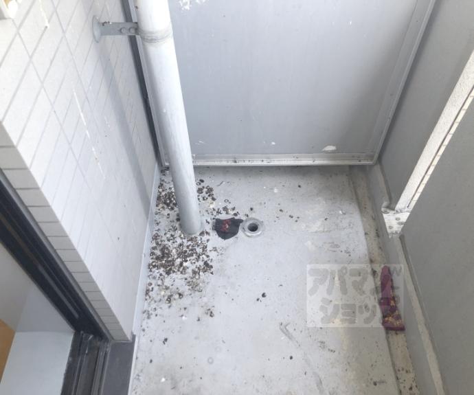 【ヴェルフィオーレ嵐山】間取