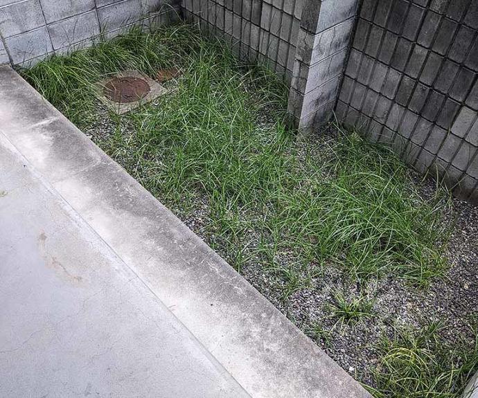 【Ｆハウス】間取