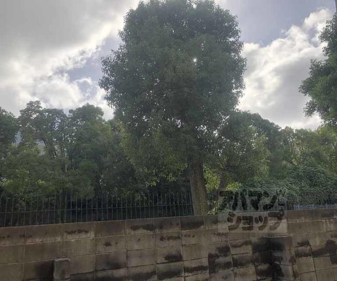 【ロイヤルハイツナカムラ】間取