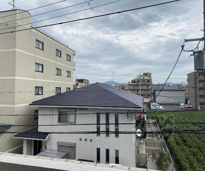 【エクセレンス上桂】間取