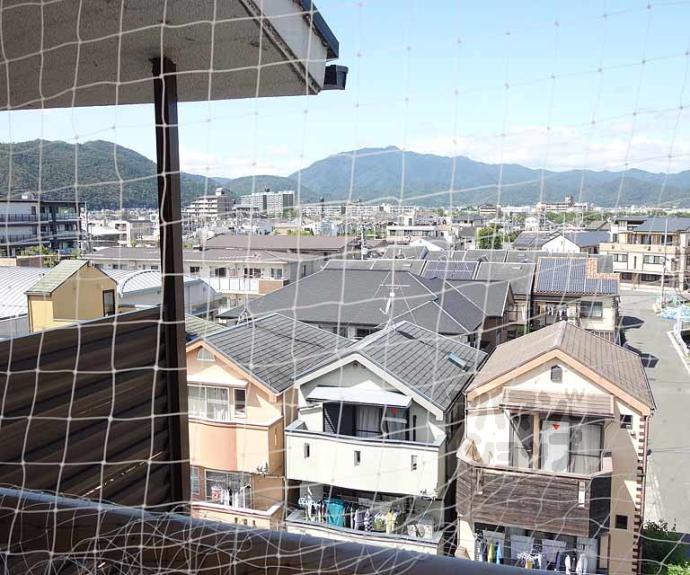 【メゾンショウエイ】間取