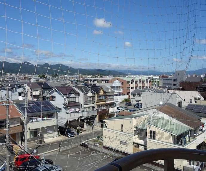 【メゾンショウエイ】間取