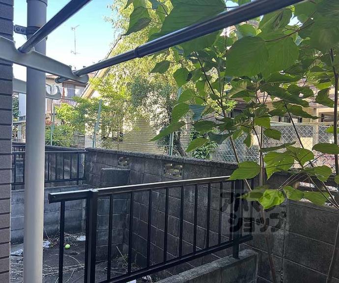 【クィーンズコートY棟】間取