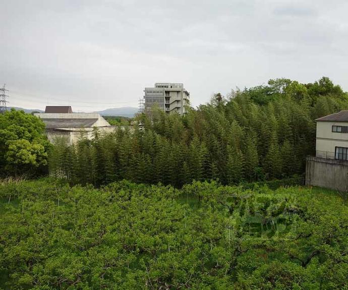 【パーシモンヒル田原】間取