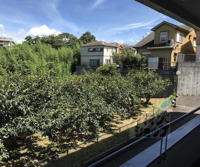 【パーシモンヒル田原】間取