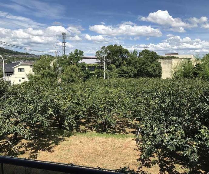 【パーシモンヒル田原】間取