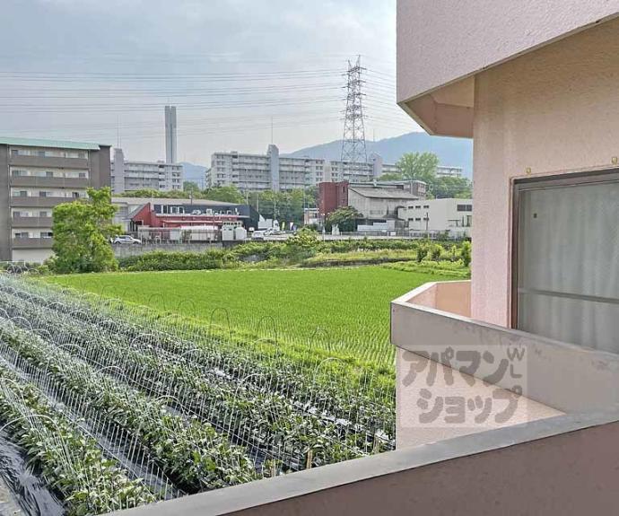 【第26長栄センチュリーハイツ】間取