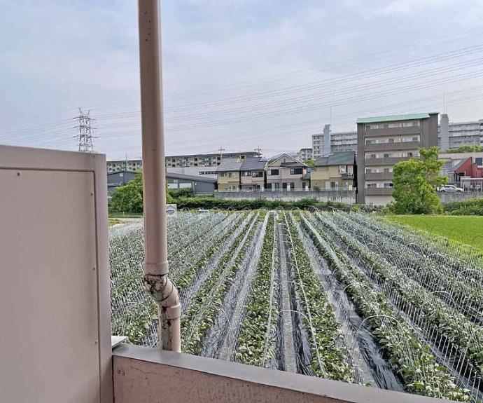 【第26長栄センチュリーハイツ】間取