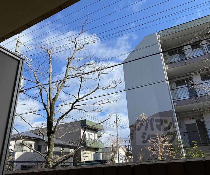 【ホルティコルヌス】間取