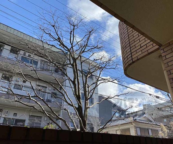 【ホルティコルヌス】間取