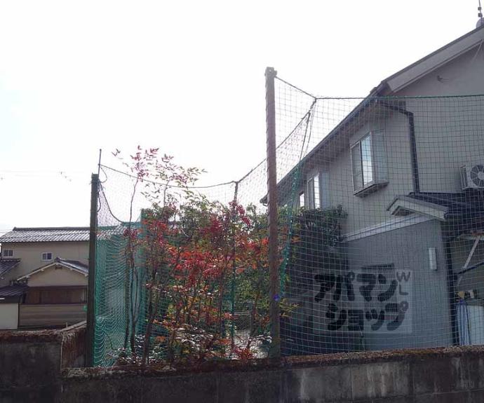 【ブランドール松尾】間取