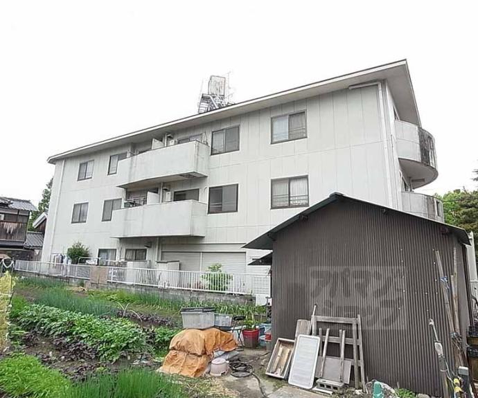 【パインケイプ】間取