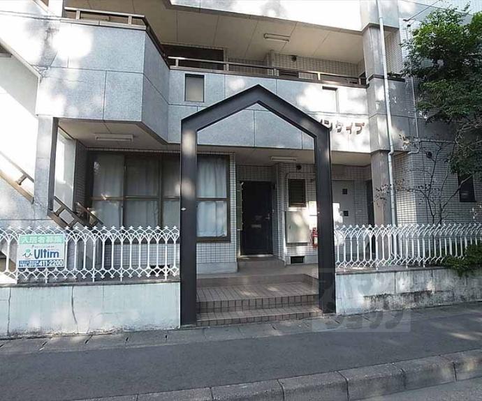 【パインケイプ】間取
