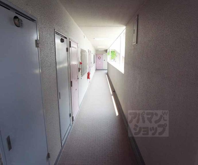 【ネクサス桃山】間取