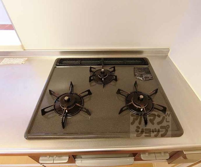 【シャーメゾン神明】間取