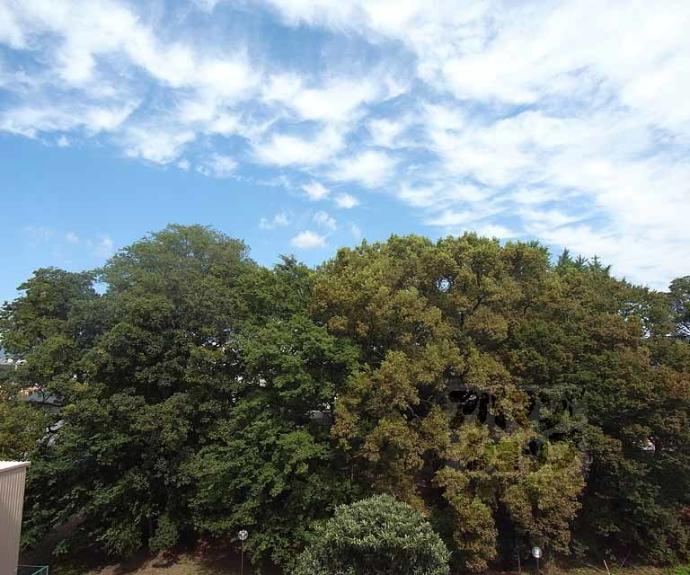 【レ・タン・ドゥ・ラ・メール・ＣＫⅠ】間取