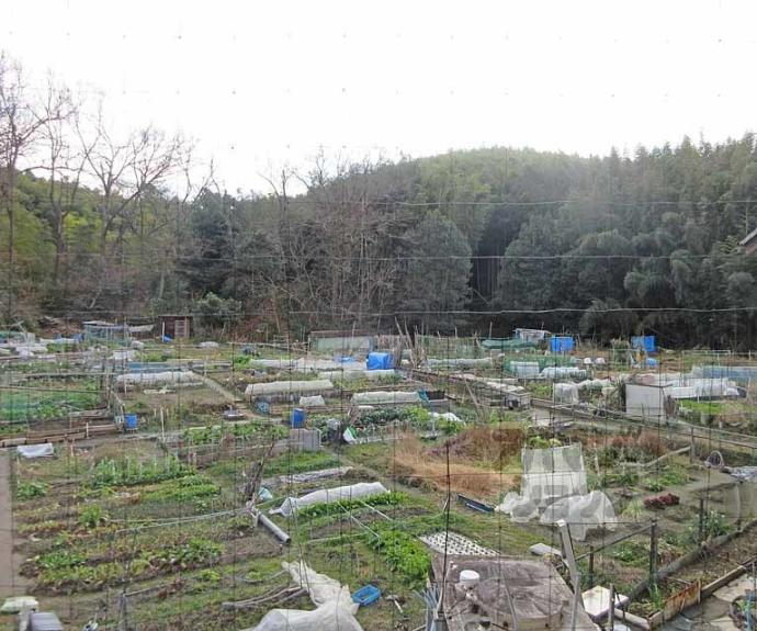【ロイヤルハイツ八洲ⅠⅡ】間取
