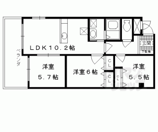 【サンシャイン中川】
