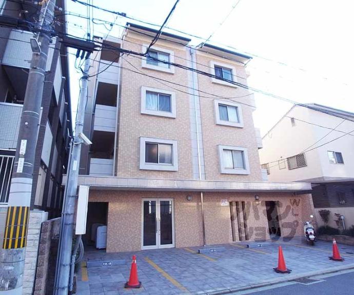 【メゾン・アクティブ】間取