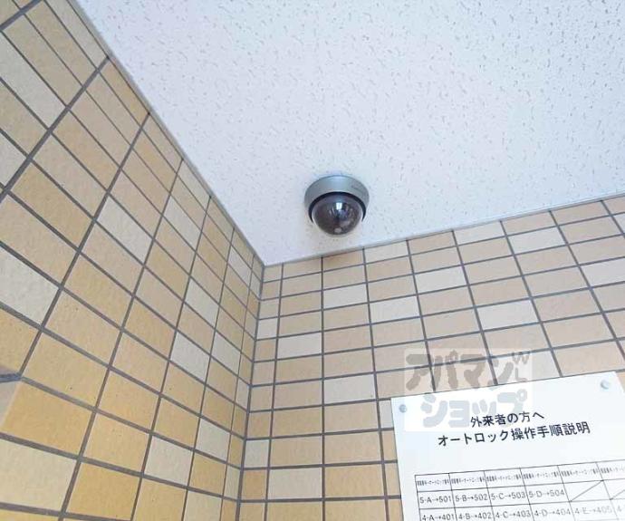 【メゾン・アクティブ】間取