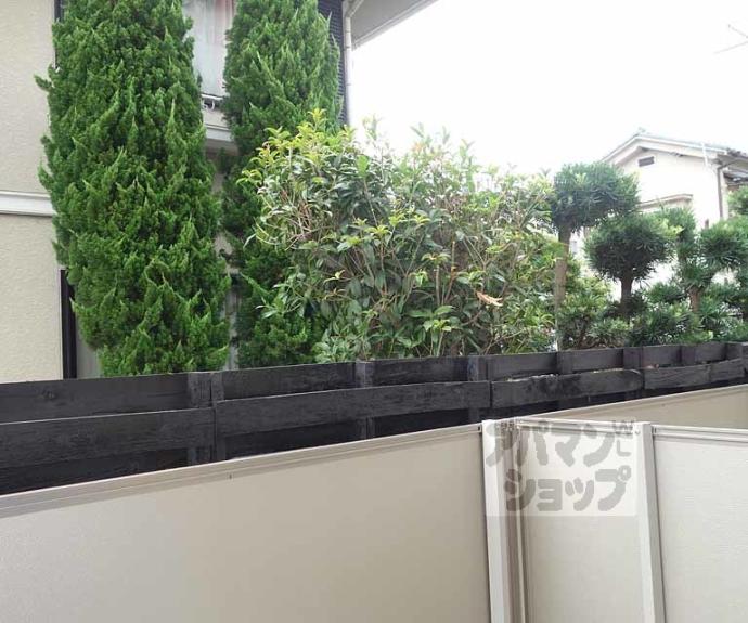 【サニーレジデンス】間取