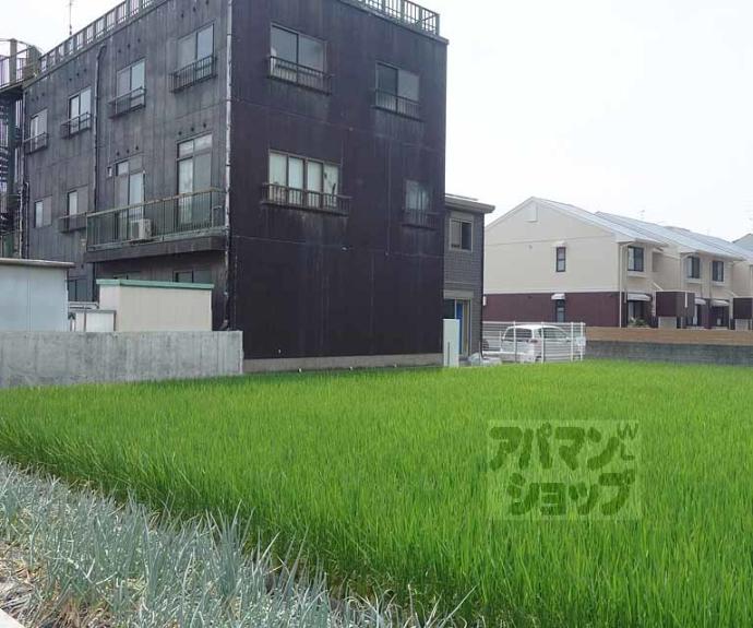 【Ｌｉｔｏ】間取