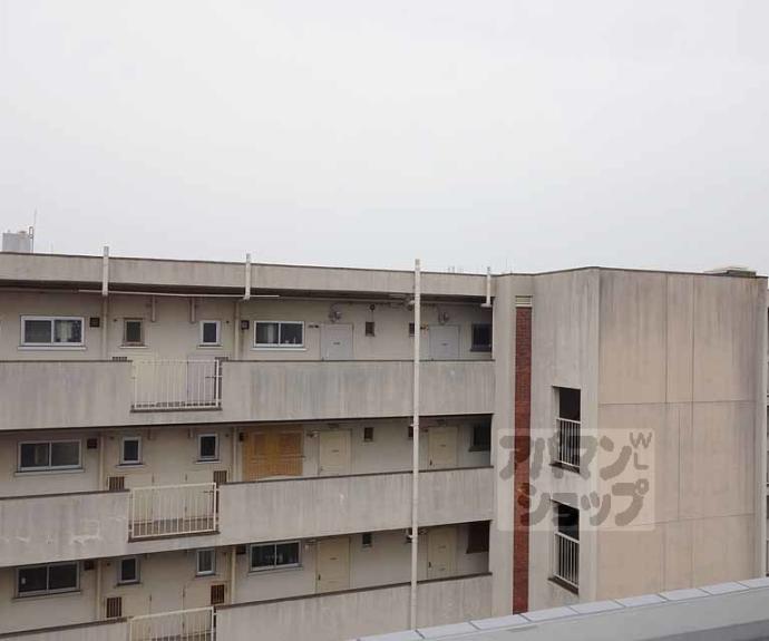 【シボラ西大路】間取