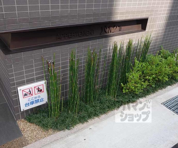 【ａｐｐａｒｔｍｅｎｔ　ＰＡＲＣ　Ⅱ】間取