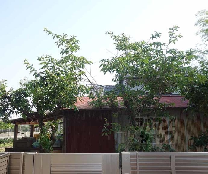 【Ｒｏｓｅ　Ｇａｒｄｅｎ】間取