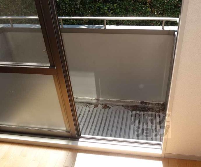 【スターヒル】間取