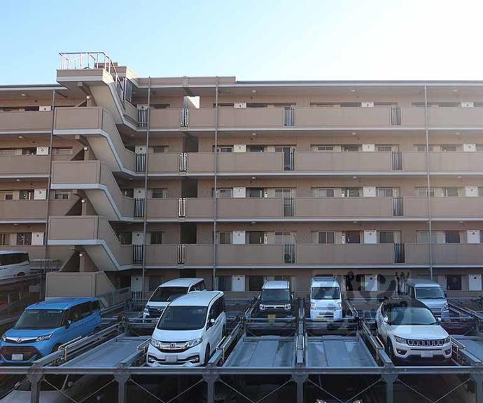 【パデシオン京都七条ミッドパーク】間取