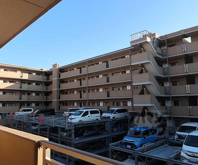 【パデシオン京都七条ミッドパーク】間取