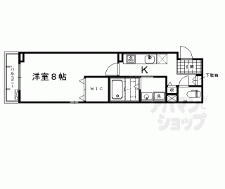 【ブライトアイリス】