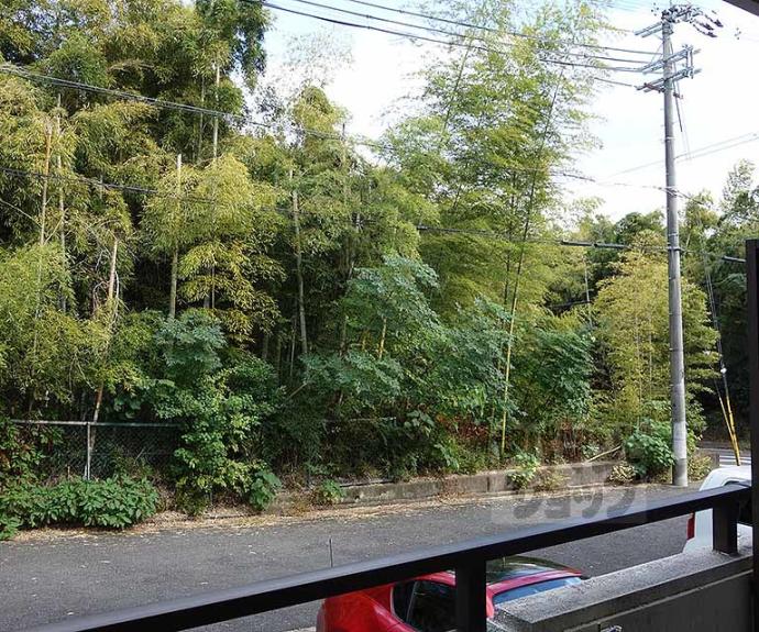 【シャンブル天神】間取