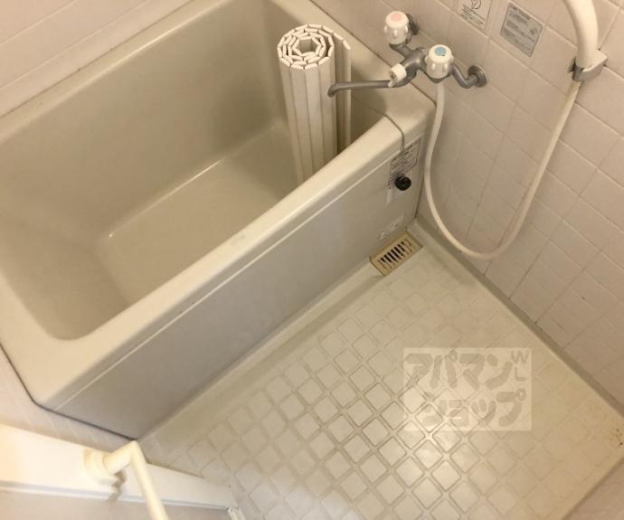 【シャルム円山】間取