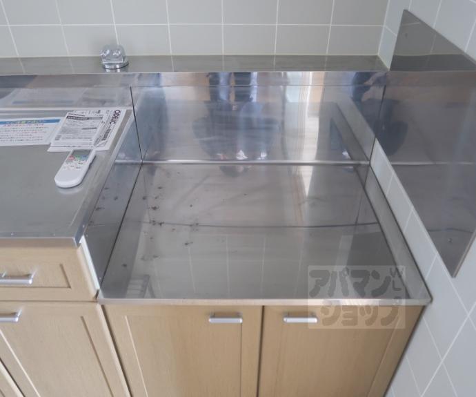 【パルカーサ南京都】間取