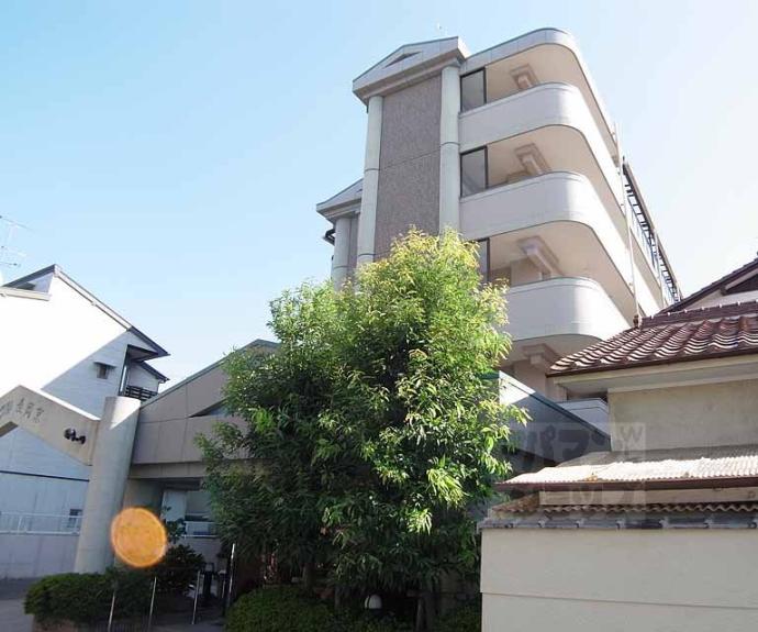 【ヴィーヴル長岡京】間取