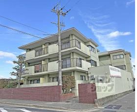ニューシャトー長岡：間取図