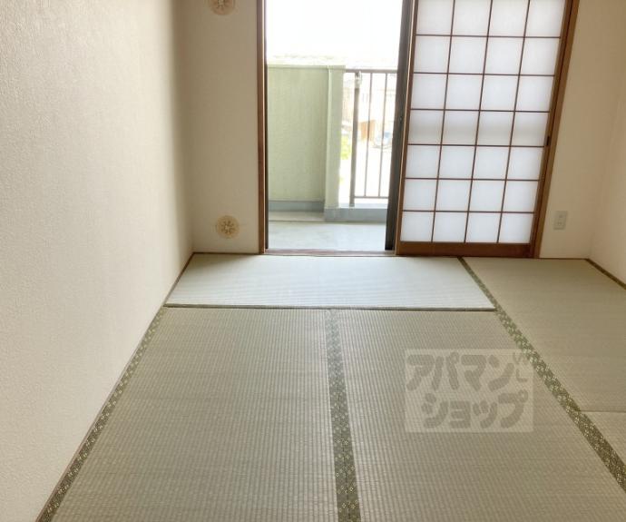 【ニューシャトー長岡】間取