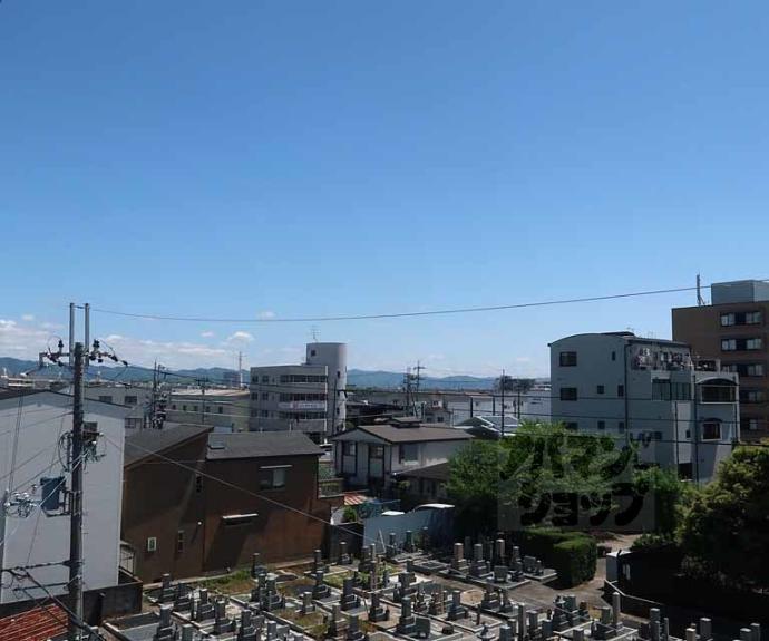 【シティハウスホワイティ】間取