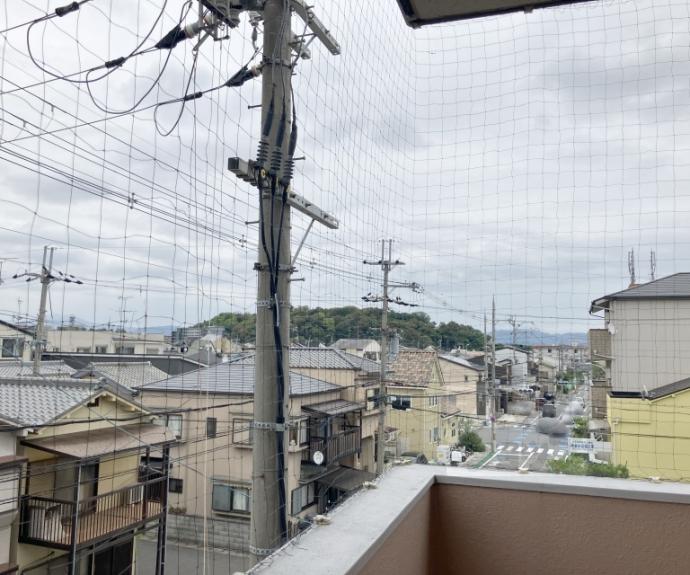 【モアライフ酒井松】間取